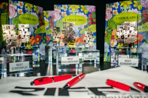 RIFF Awards 2019
