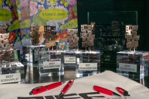 RIFF Awards 2019