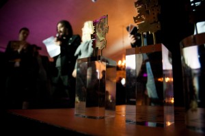 RIFF Awards 2011 and the winner is...